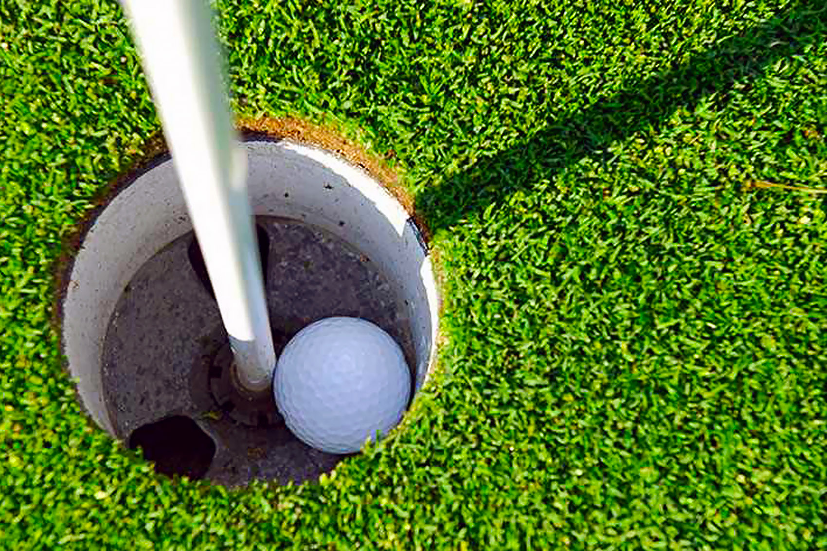 Services Provided photo